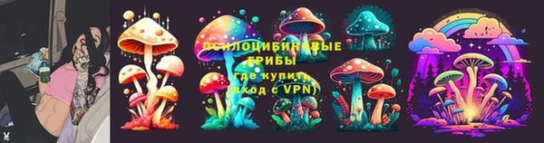 дурь Приозерск