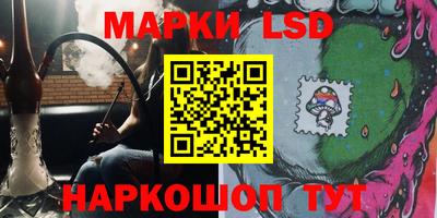 СК Апшеронск