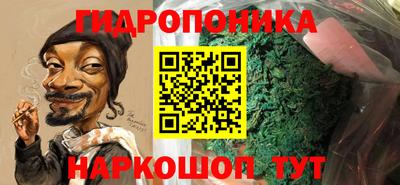 СК Апшеронск