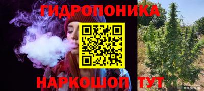 прущие грибы Кунгур