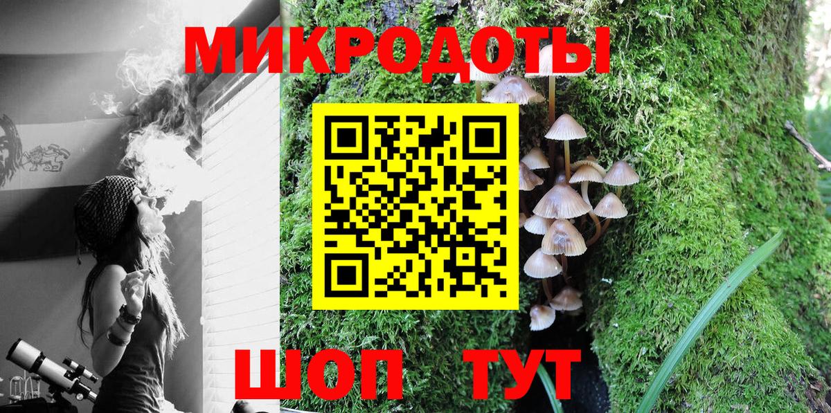 Галлюциногенные грибы Magic Shrooms Старая Русса