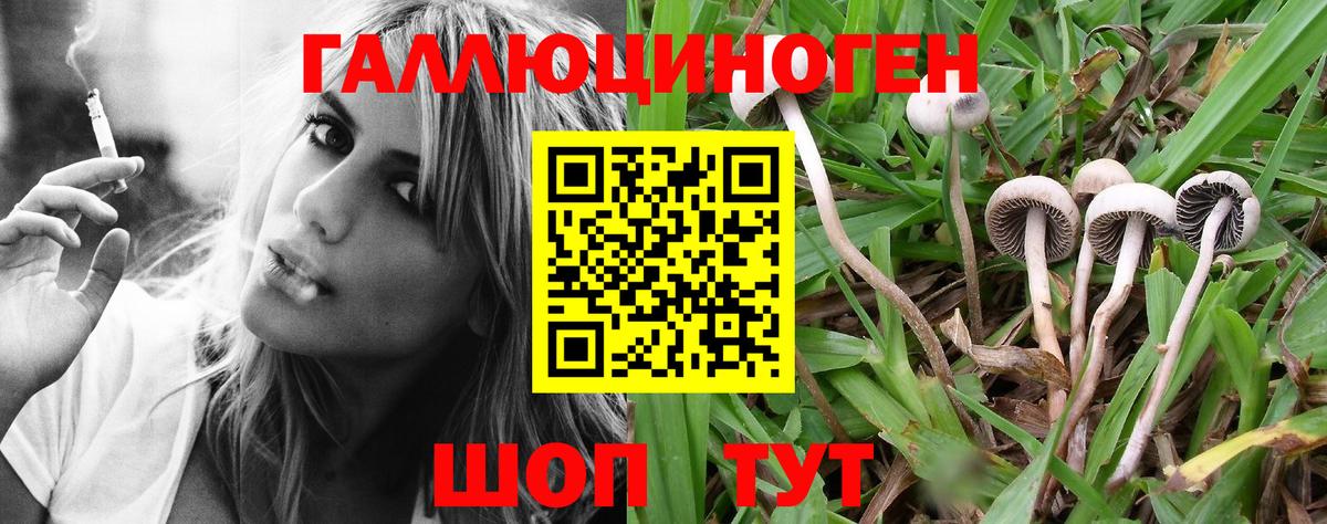 Старая Русса  Галлюциногенные грибы MAGIC MUSHROOMS  Вход с VPN 
